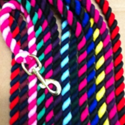 TWO TONE LEAD ROPE